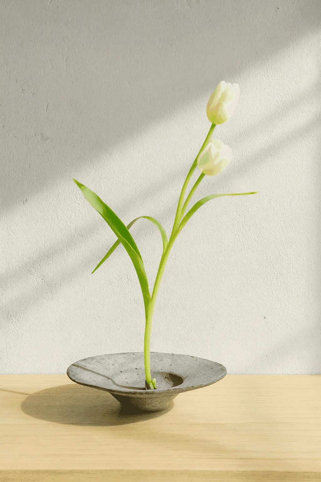 Clay Practice - 縮圖 11