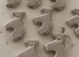 定期舉辦主題式工作坊